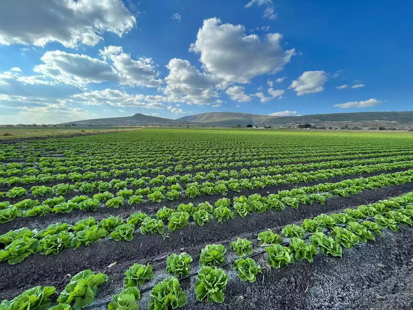 Imagen de un agricultor