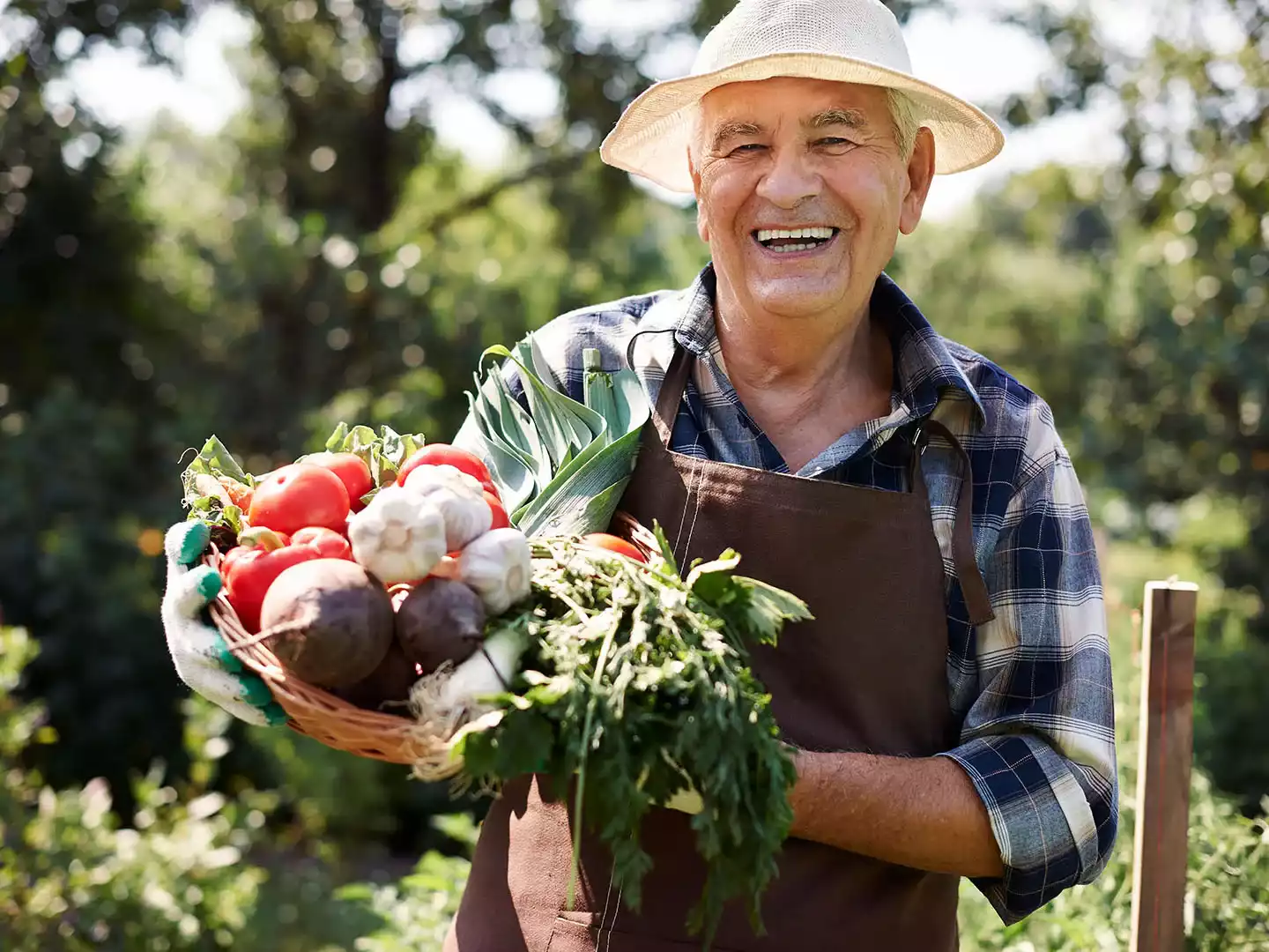 Imagen de un agricultor